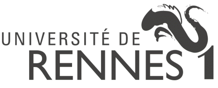 logo de l'esir